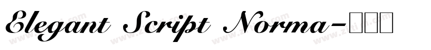 Elegant Script Norma字体转换